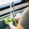 Cyclospora Lettuce Washing
