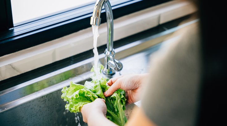 Cyclospora Lettuce Washing