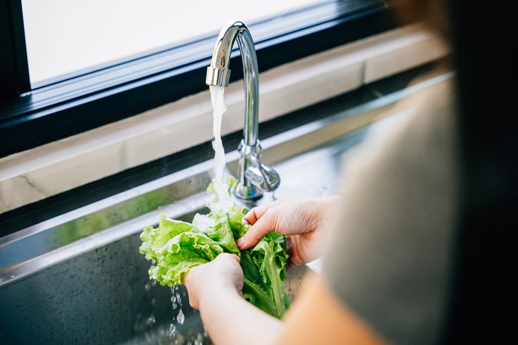 Cyclospora Lettuce Washing