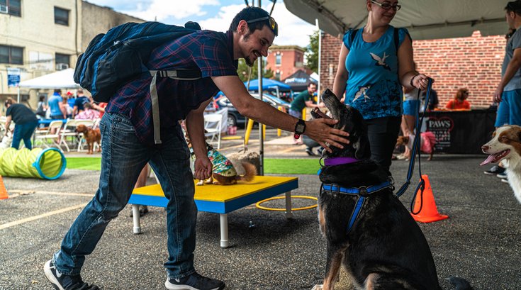 dog day manayunk