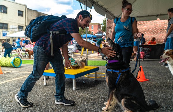 dog day manayunk
