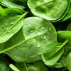 Listeria Spinach Lawsuit