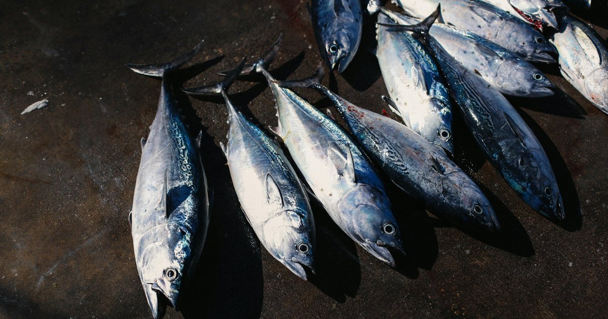 Tuna valued at ,000 stolen from a parked truck at the Philadelphia Food Distribution Center