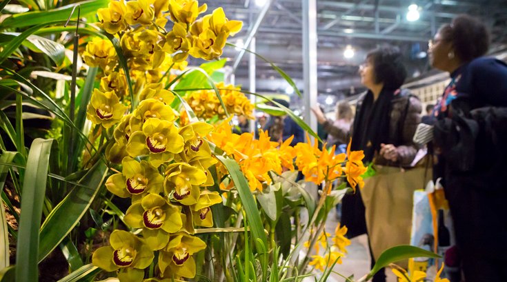 Philadelphia Flower Show