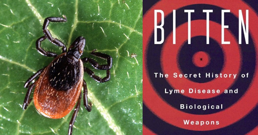 is gabapentin used for lyme disease