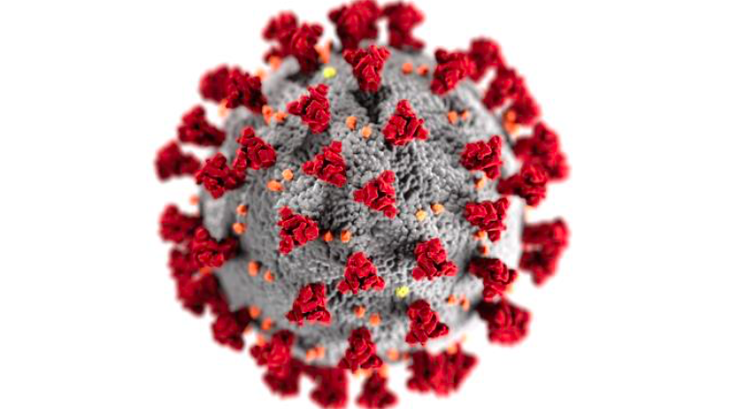 NIAID coronavirus strain
