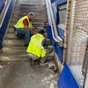 081424 septa cat rescue.jpg