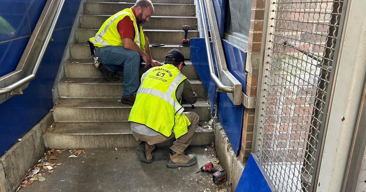 Cat and 5 kittens trapped in SEPTA station in West Philly – rescued by workers