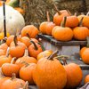 Fall Events Dilworth Park