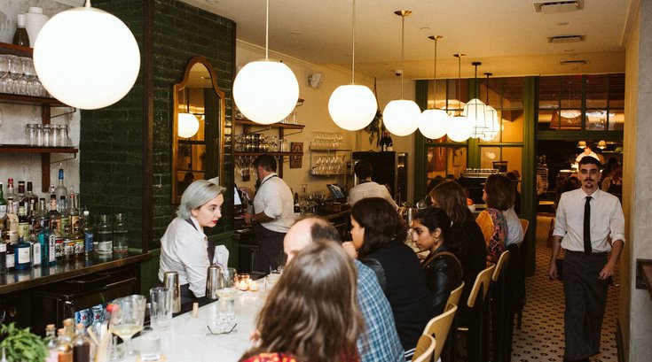 Forsythia industry nights