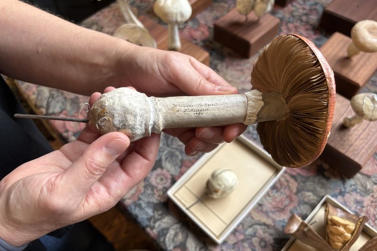 Papier mache mushroom