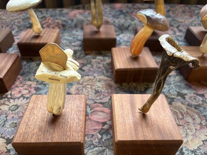 Papier mâché mushrooms on wooden bases atop a tablecloth with flowers