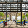 Cherry Street Pier - Festival of Festivals