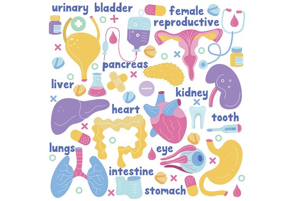 Human Organs SPS 08252019