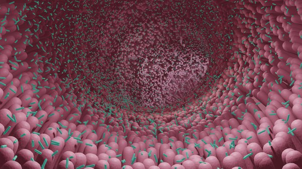 082721 Microbiome Startups Gut Health Science.jpg