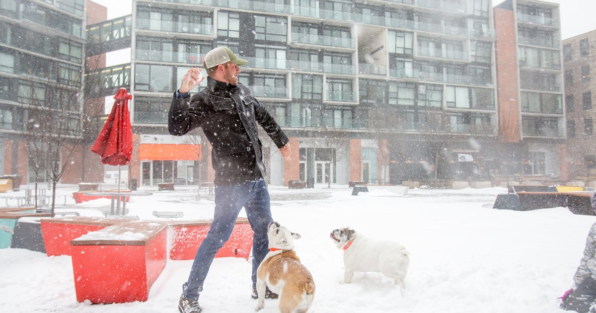 Photos A bitter cold snow day in Philadelphia PhillyVoice