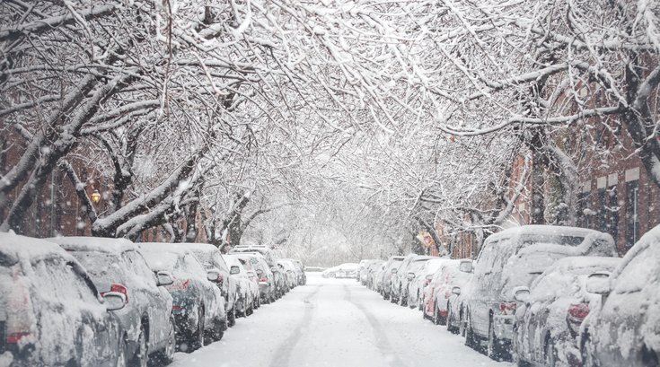 Carroll - March nor'easter snow