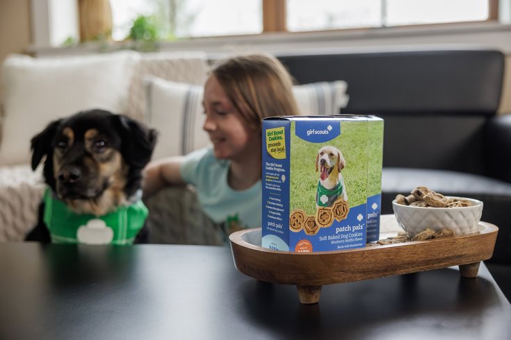 Girl Scout dog cookie