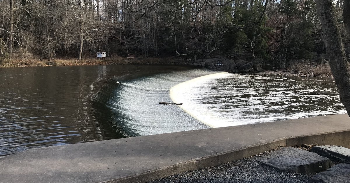 A dam on Neshaminy Creek is being removed to improve fish passage, public safety