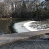 Neshaminy Creek dam removal