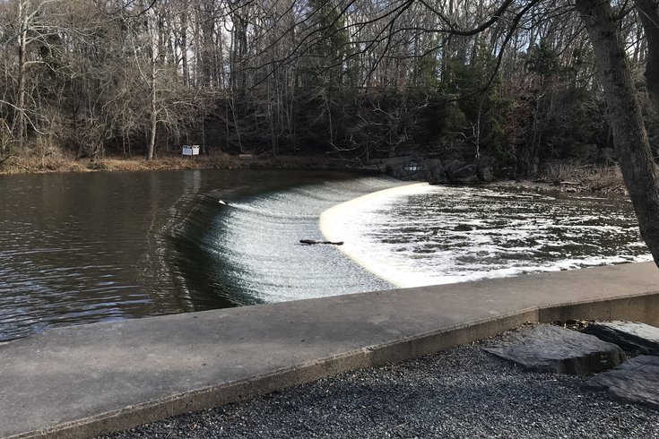 Neshaminy Creek dam removal
