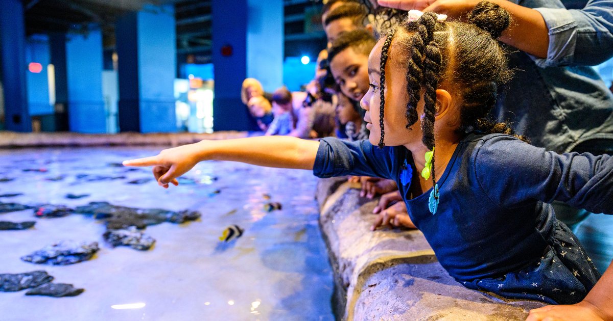 Adventure Aquarium preK pass offers free admission for children ages 2