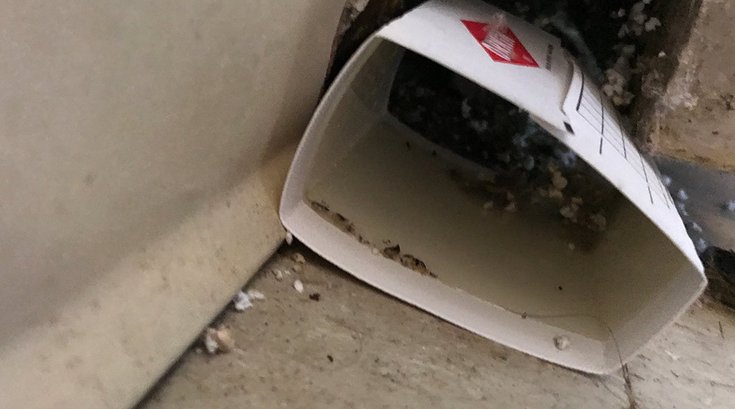 09052017_DresherHill_mousetrap