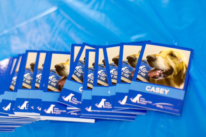 Wagging Tails trading cards
