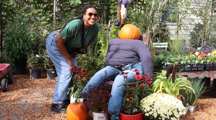 Fall festival