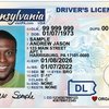 Pennsylvania New Driver's License