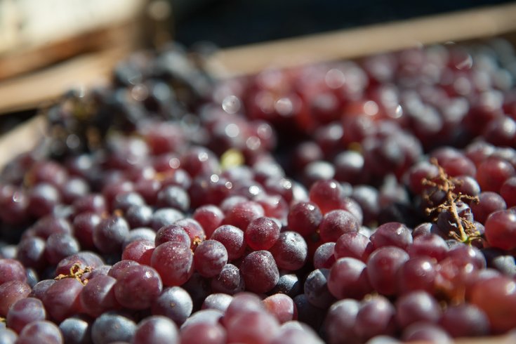What Is The Difference Between Grape Juice And Wine? 