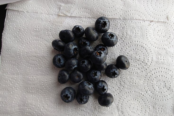 Blueberries Babies Health