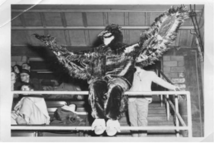 jim brennan original hawk costume