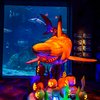 adventure aquarium halloween pumpkin