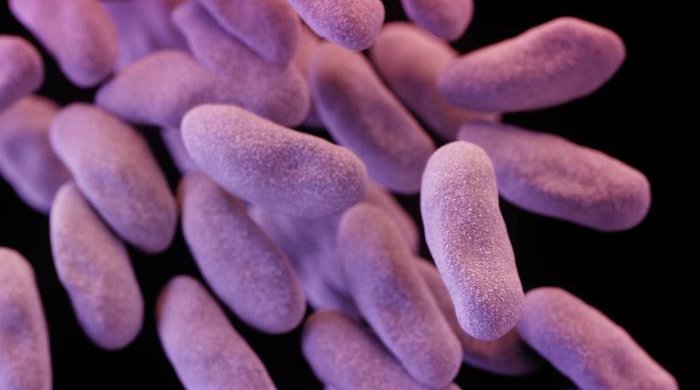 Nightmare Bacteria CDC