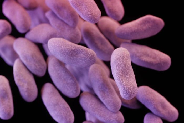 Nightmare Bacteria CDC