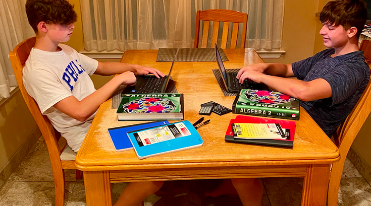 COVID-19 Virtual Learning - One time use