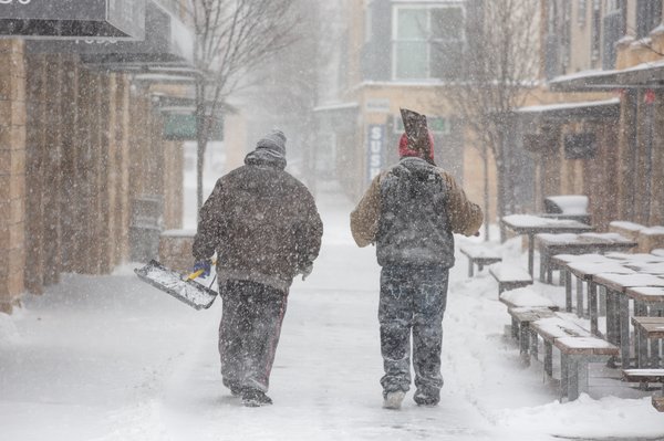 Carroll - Snow