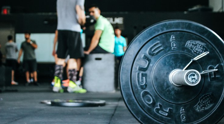 10 lb rogue weight in focus