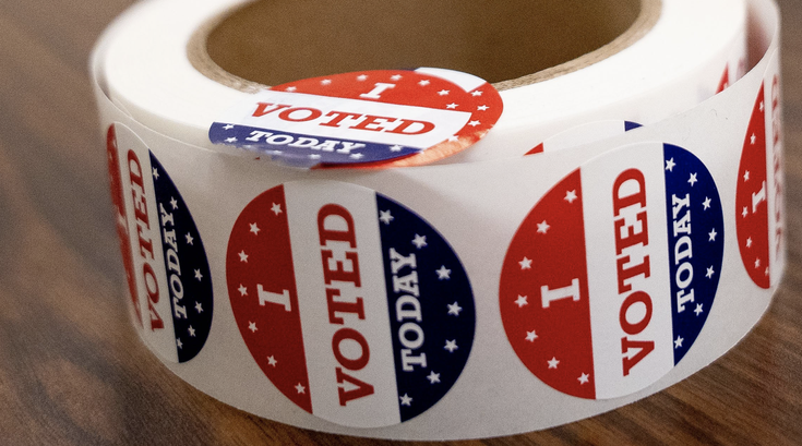 2020 Election guide voting