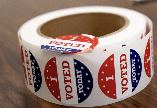 2020 Election guide voting