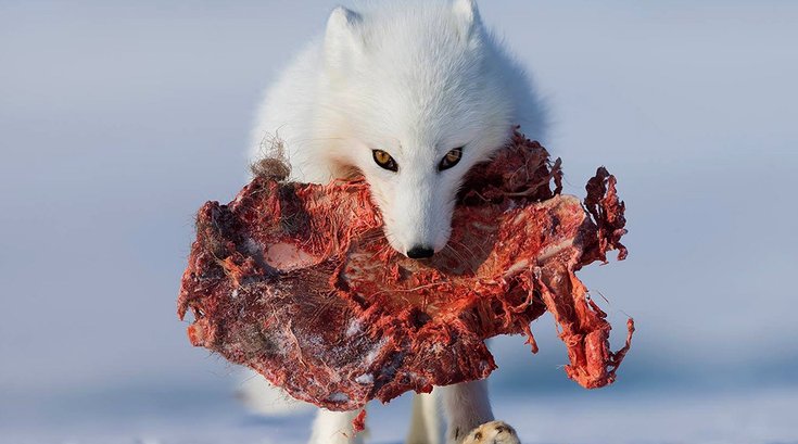 10042018_BladeRunner_DrDAD