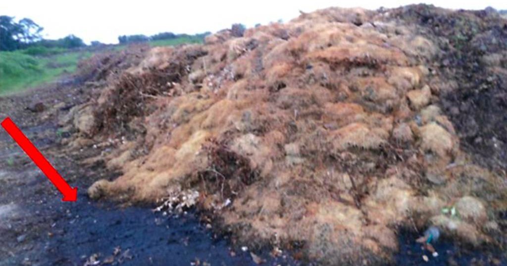 Investigators Merlino associate's 'mulch' operation leaves Palmyra