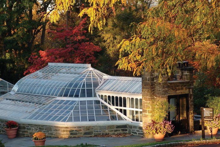 Morris Arboretum