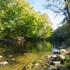 Fish PFOS Wissahickon Creek