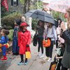 Chestnut Hill Halloween