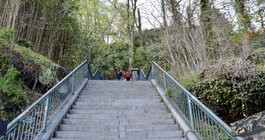 Manayunk 100 steps