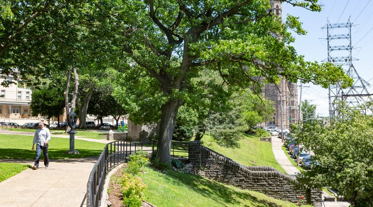 Fall park cleanup