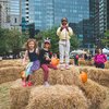 maze dilworth park