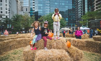 maze dilworth park